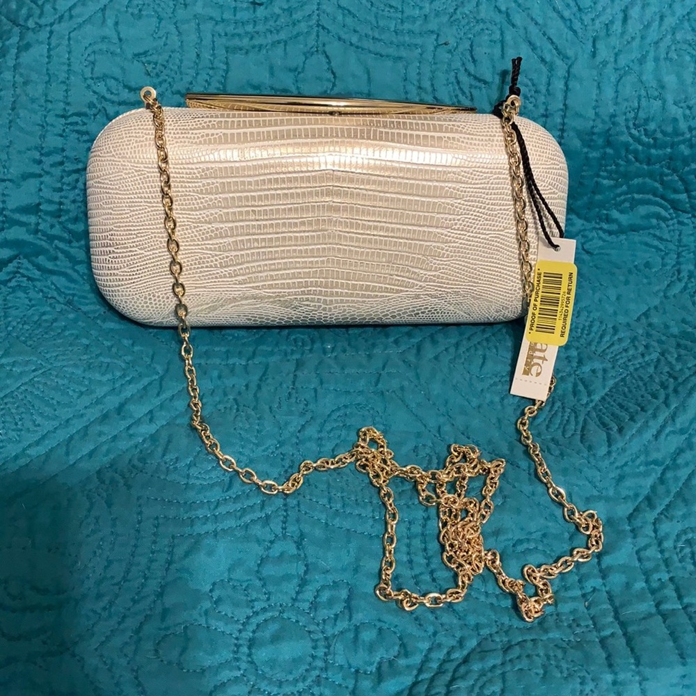 NEW KATE LANDRY LIGHT GOLD CHAIN Crossbody Clutch